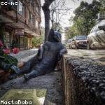 Eladio Blick Profile Picture